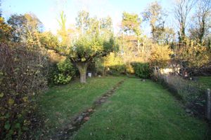 Photo 6- click for photo gallery